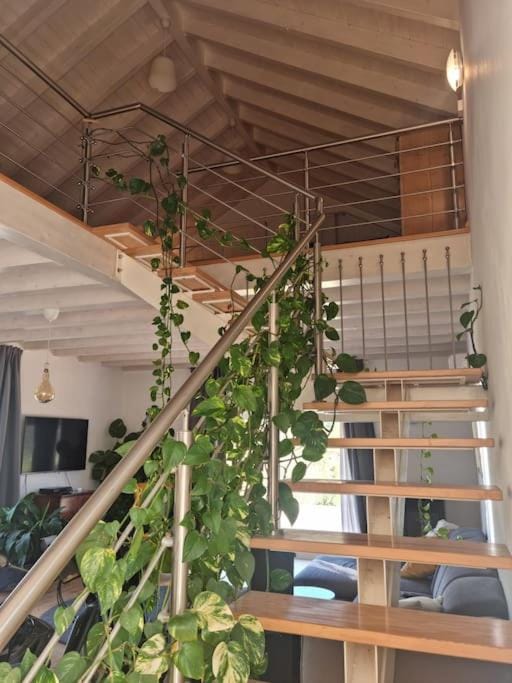 Lemontree house set in the countryside. Villa in Faro District