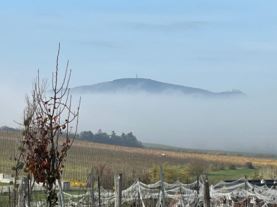 Johannesberg Bed and Breakfast in South Moravian Region