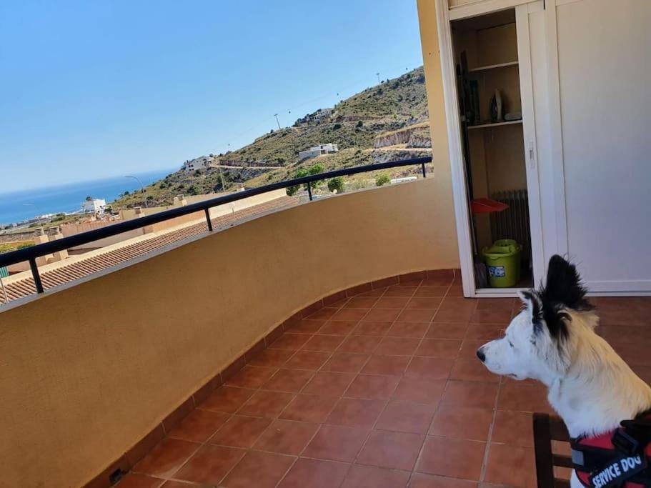 Natural landscape, Balcony/Terrace, Mountain view, Sea view