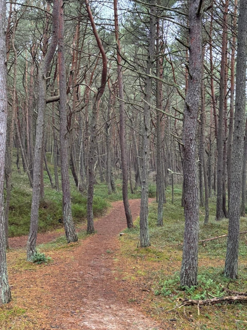 Day, Natural landscape, Summer