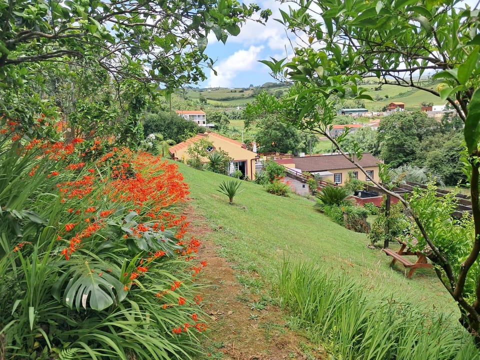 Property building, Garden view