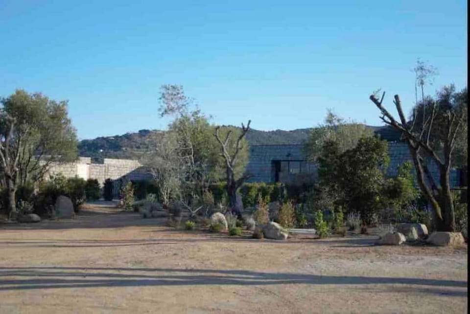 Natural landscape