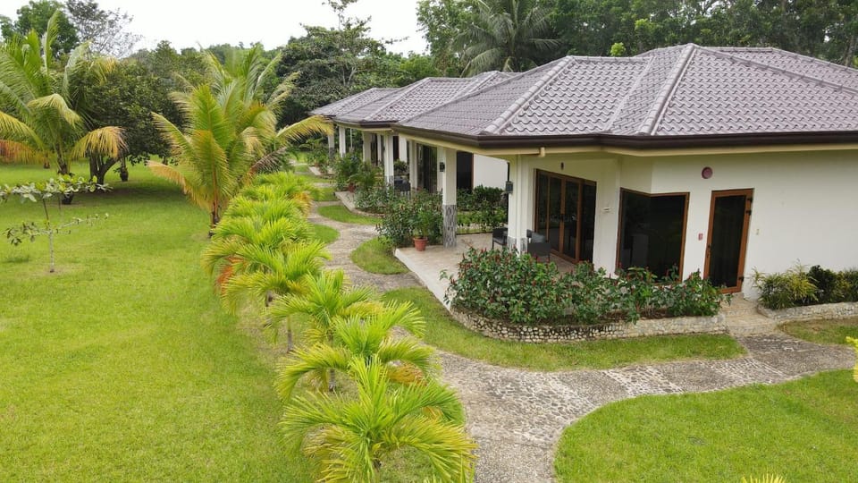 Garden, Garden, Garden view, Garden view