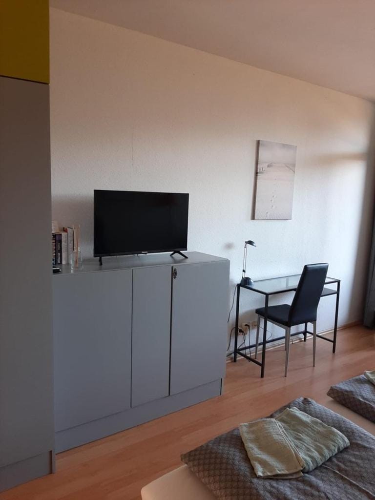 TV and multimedia