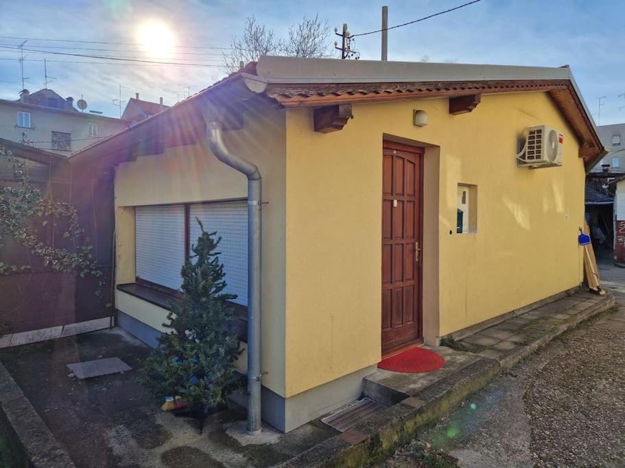Warm house full of green ambient,joy and comfort Apartment in City of Zagreb