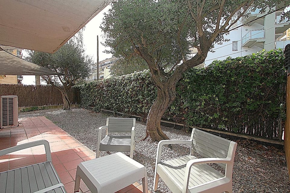 Patio, Garden, Garden view