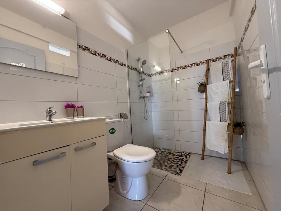 Shower, Toilet, Bathroom, towels