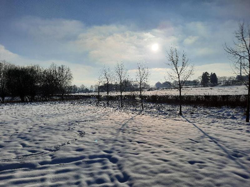 Le Grand Ravel Apartment in Wallonia, Belgium