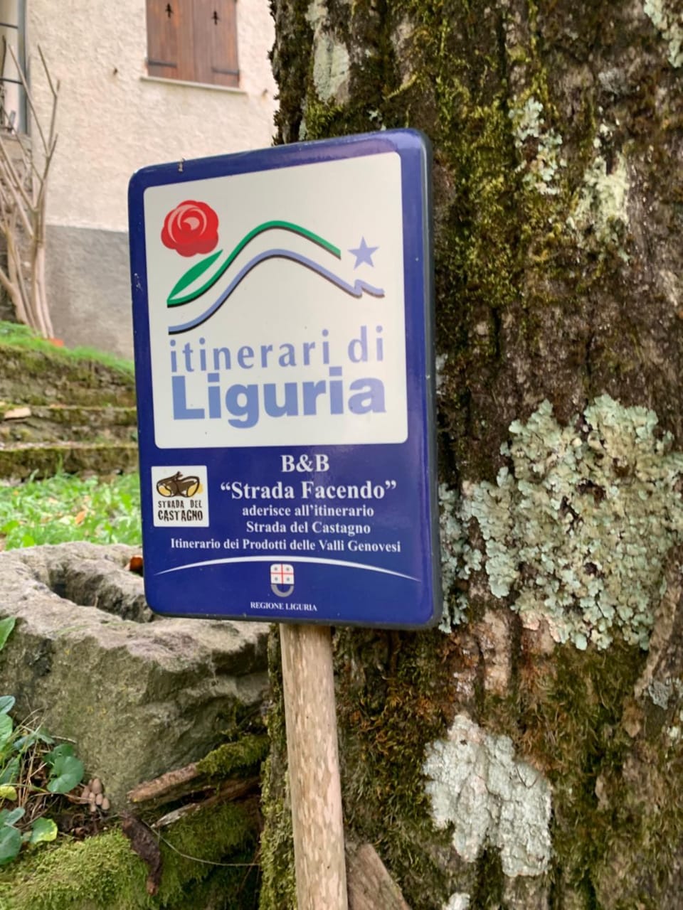Property logo or sign