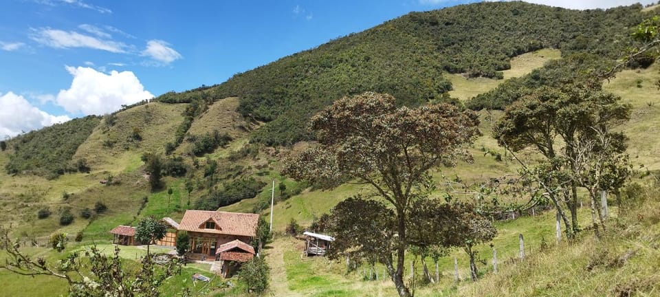 Natural landscape, Mountain view