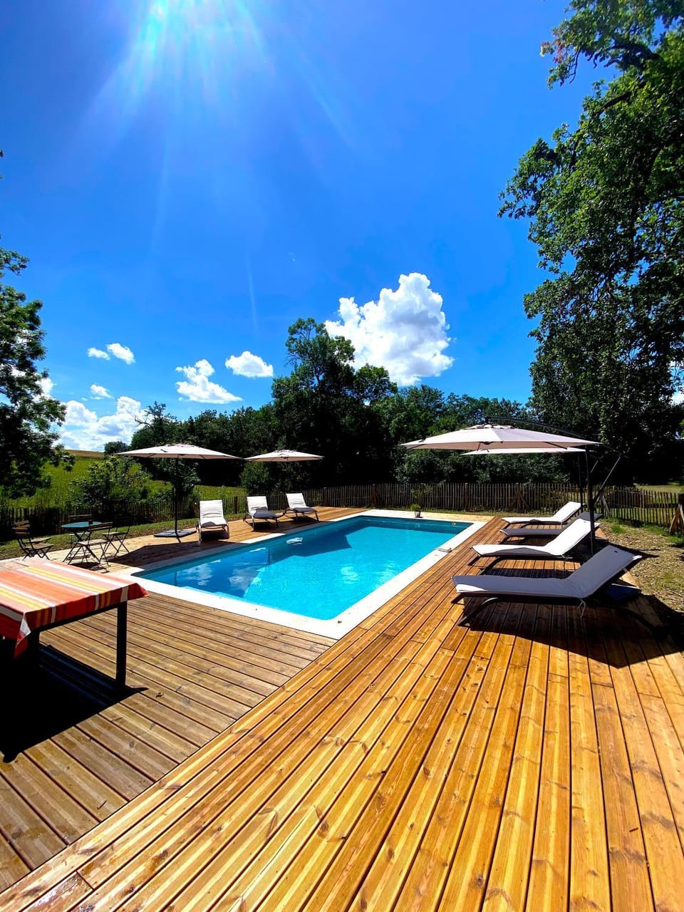 Natural landscape, Garden, Garden view, Pool view, Swimming pool, sunbed