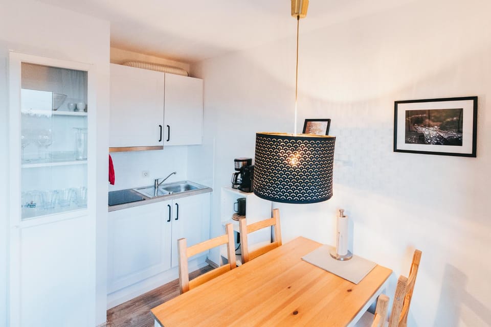 Kitchen or kitchenette, Dining area, Breakfast, kitchen