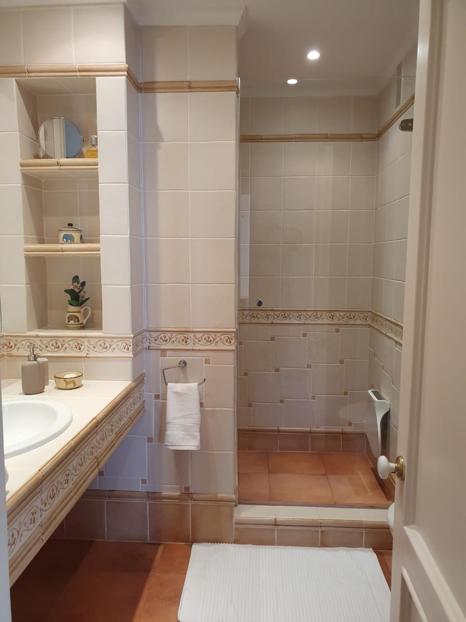 Shower, towels