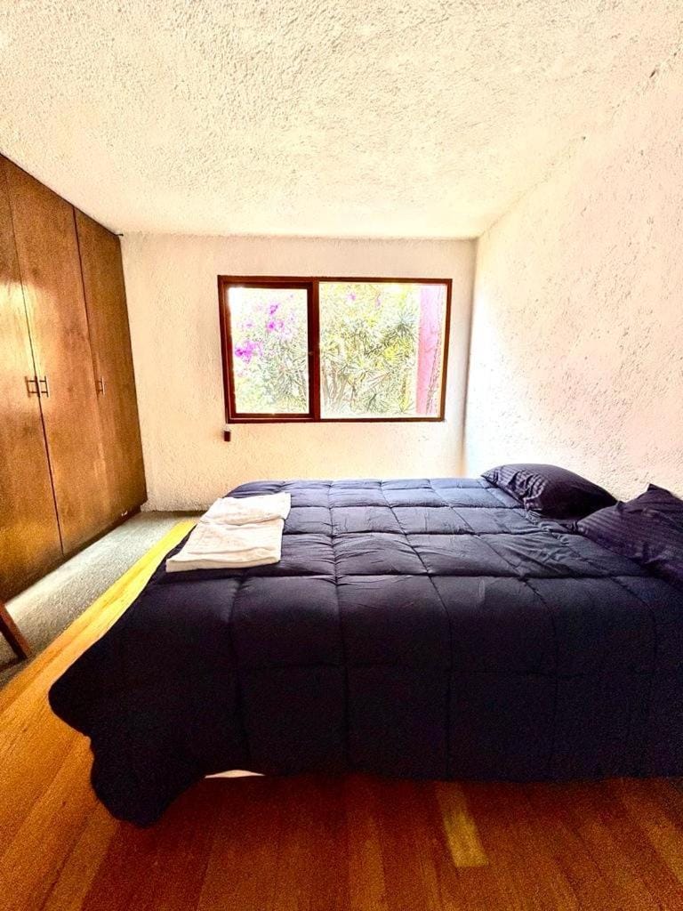 Casa Frida Coyoacan Bed and Breakfast in Mexico City