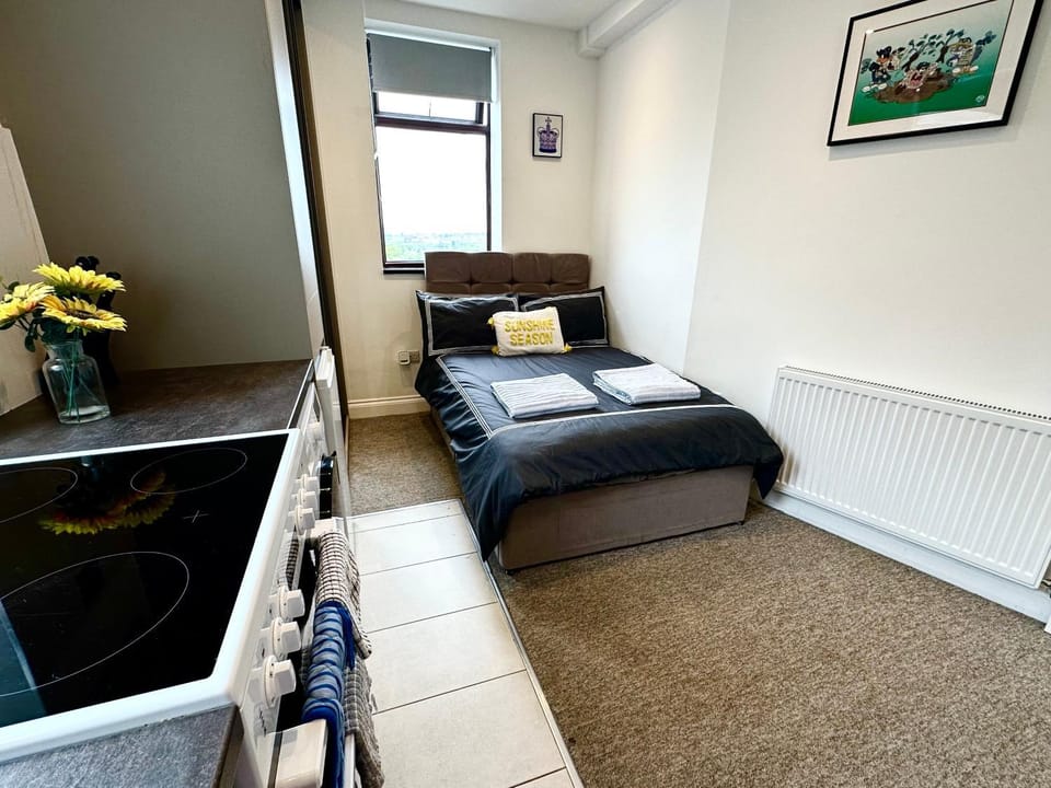 Unique Modern, Private Apartment,15 Mins To Central London Apartment in London