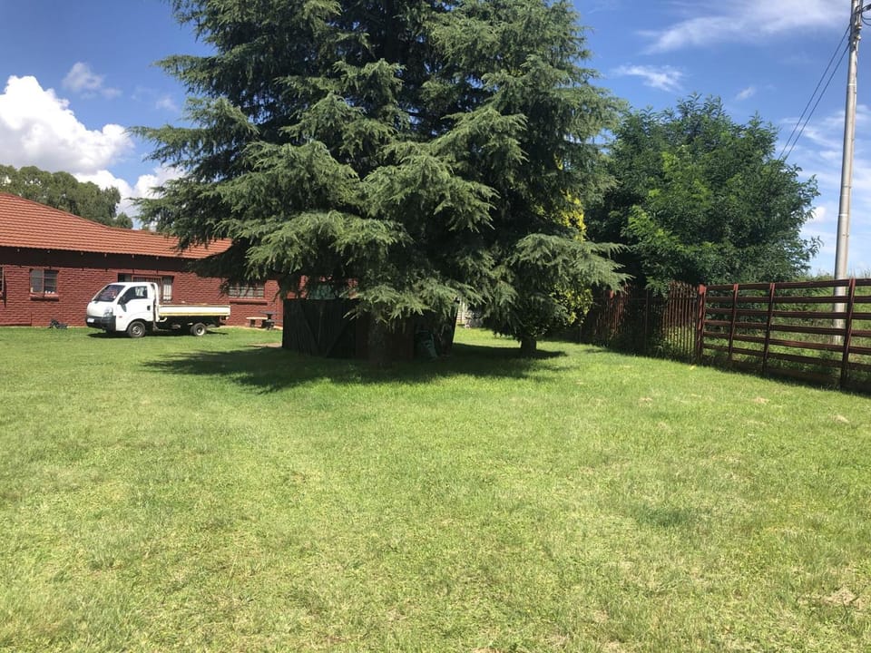 Natural landscape, Garden, Garden view