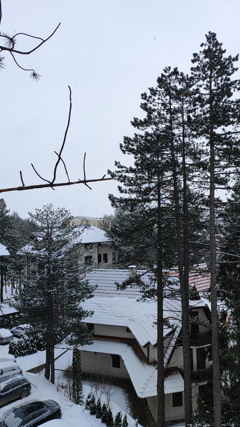 Pino Marengo Apartment in Zlatibor