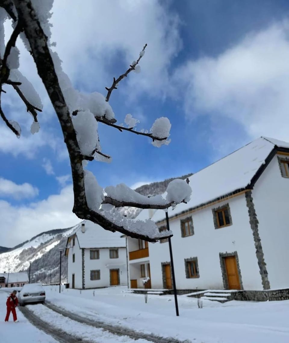 Property building, Day, Natural landscape, Bird's eye view, Winter, Garden, View (from property/room), Mountain view