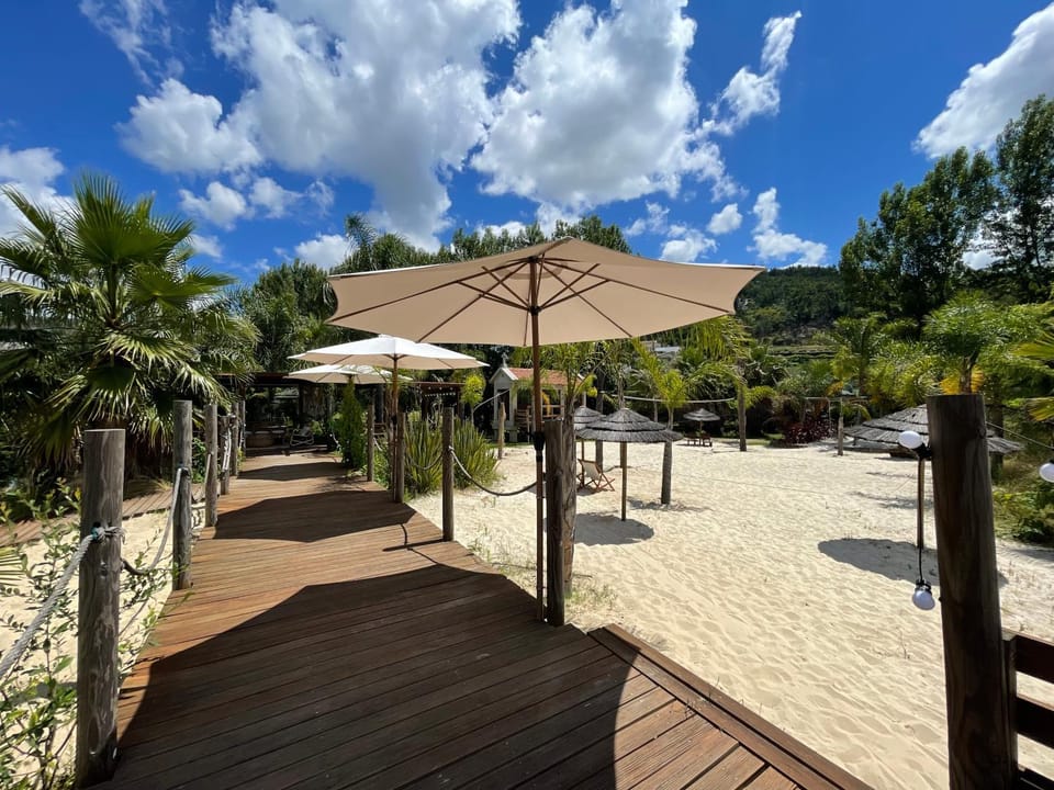 Day, Natural landscape, Garden, Beach