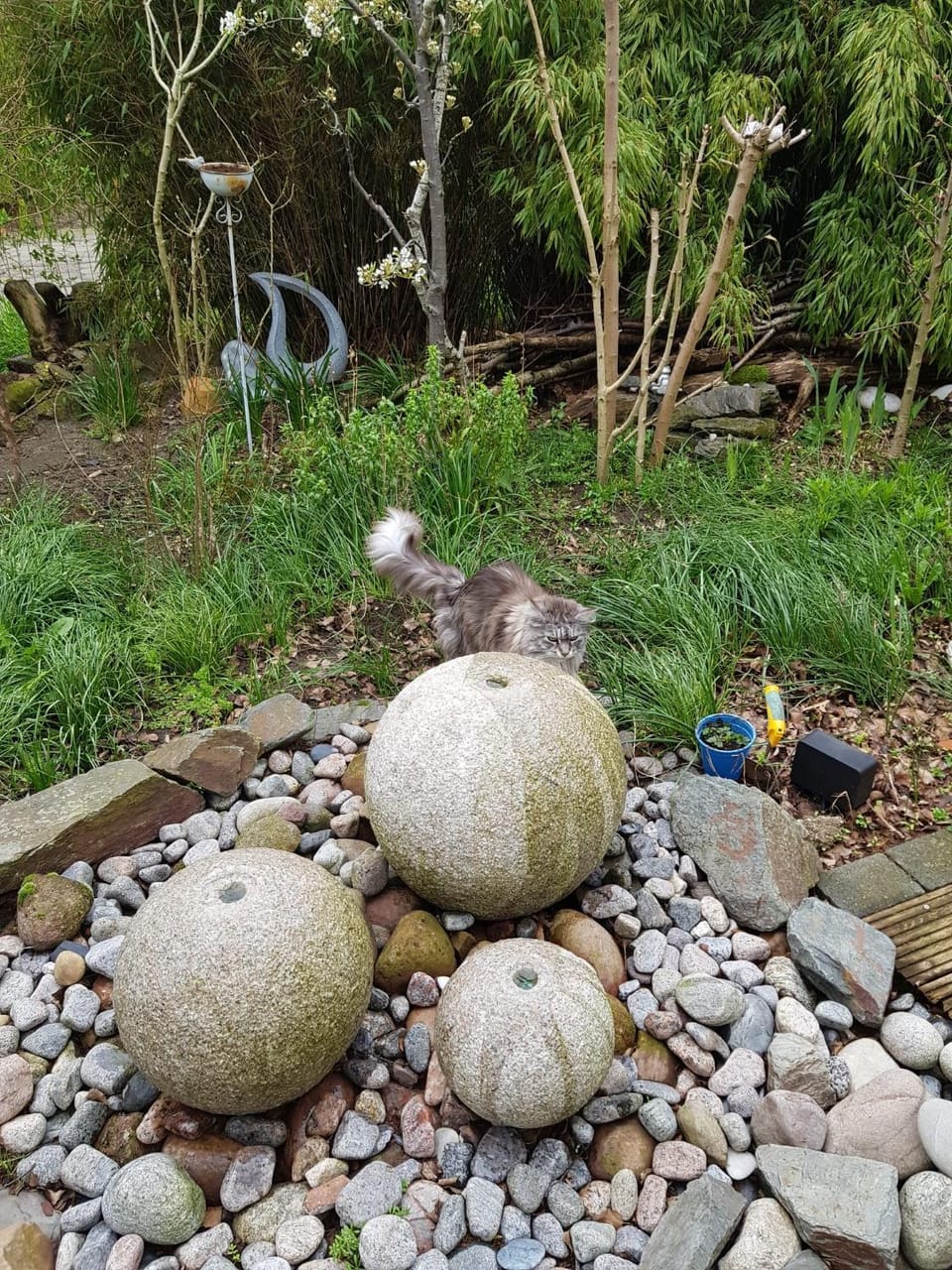 Garden, Garden