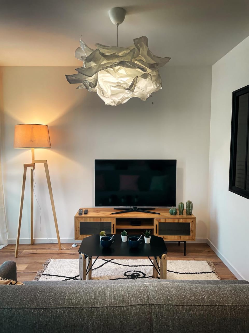 TV and multimedia