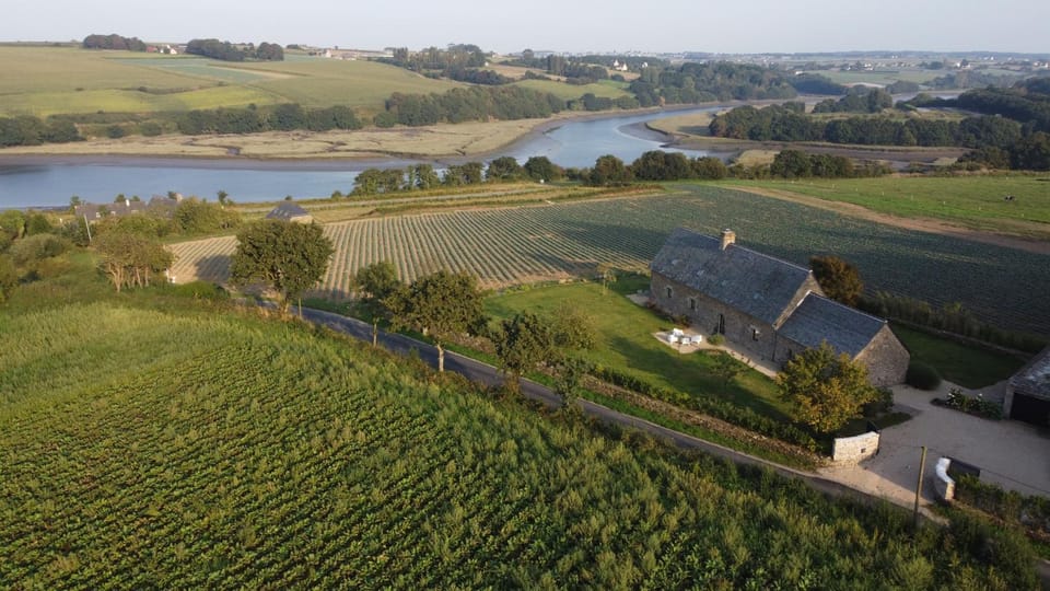 Natural landscape, Bird's eye view, River view
