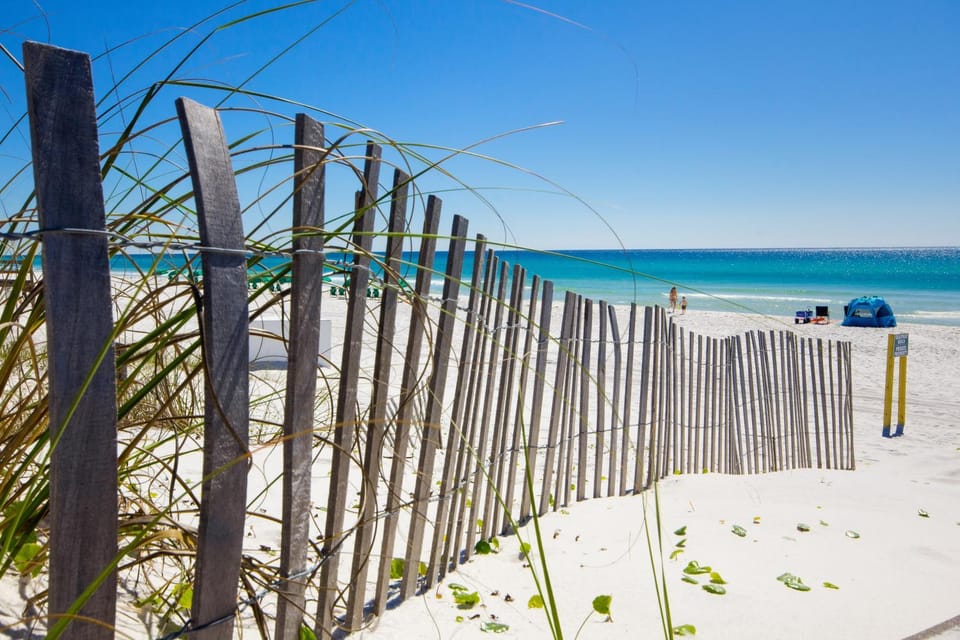 Remarkably Updated 3/2 in Seagrove Highlands - Gulf Views Sleeps 9! House in South Walton County