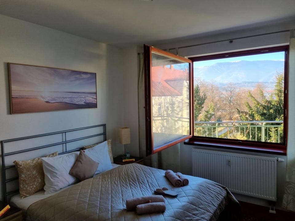 Photo of the whole room, Mountain view