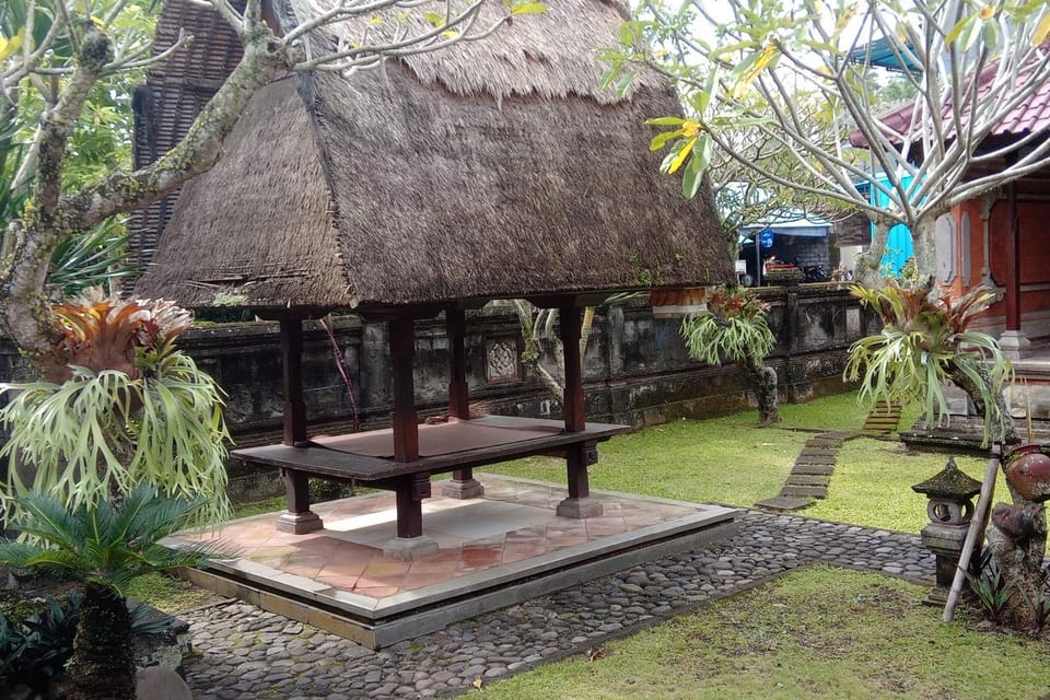 Natural landscape, Garden, Garden view