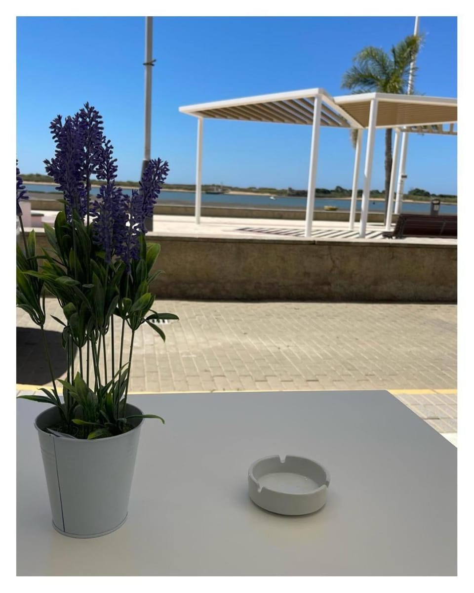 Brisa Marinera Apartment in Costa de la Luz