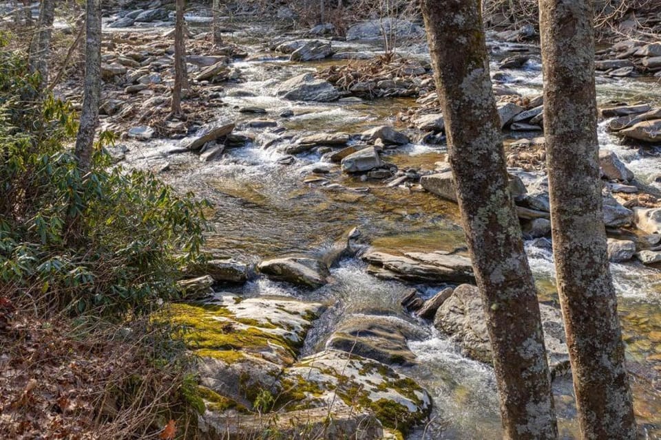 Paradise Found House in Brushy Fork