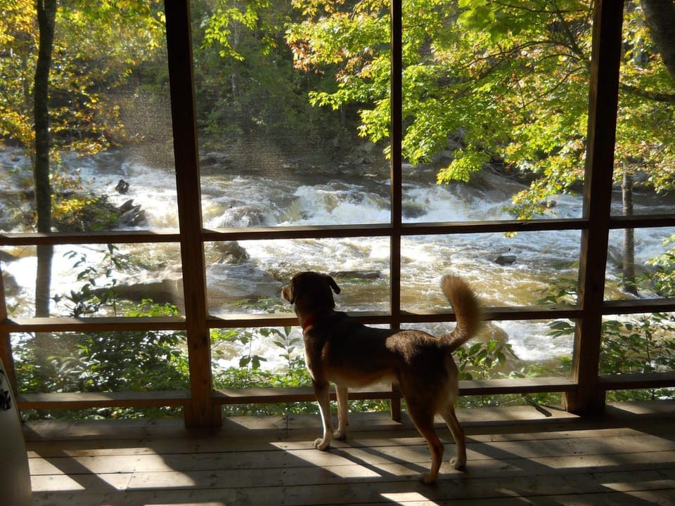 Paradise Found House in Brushy Fork