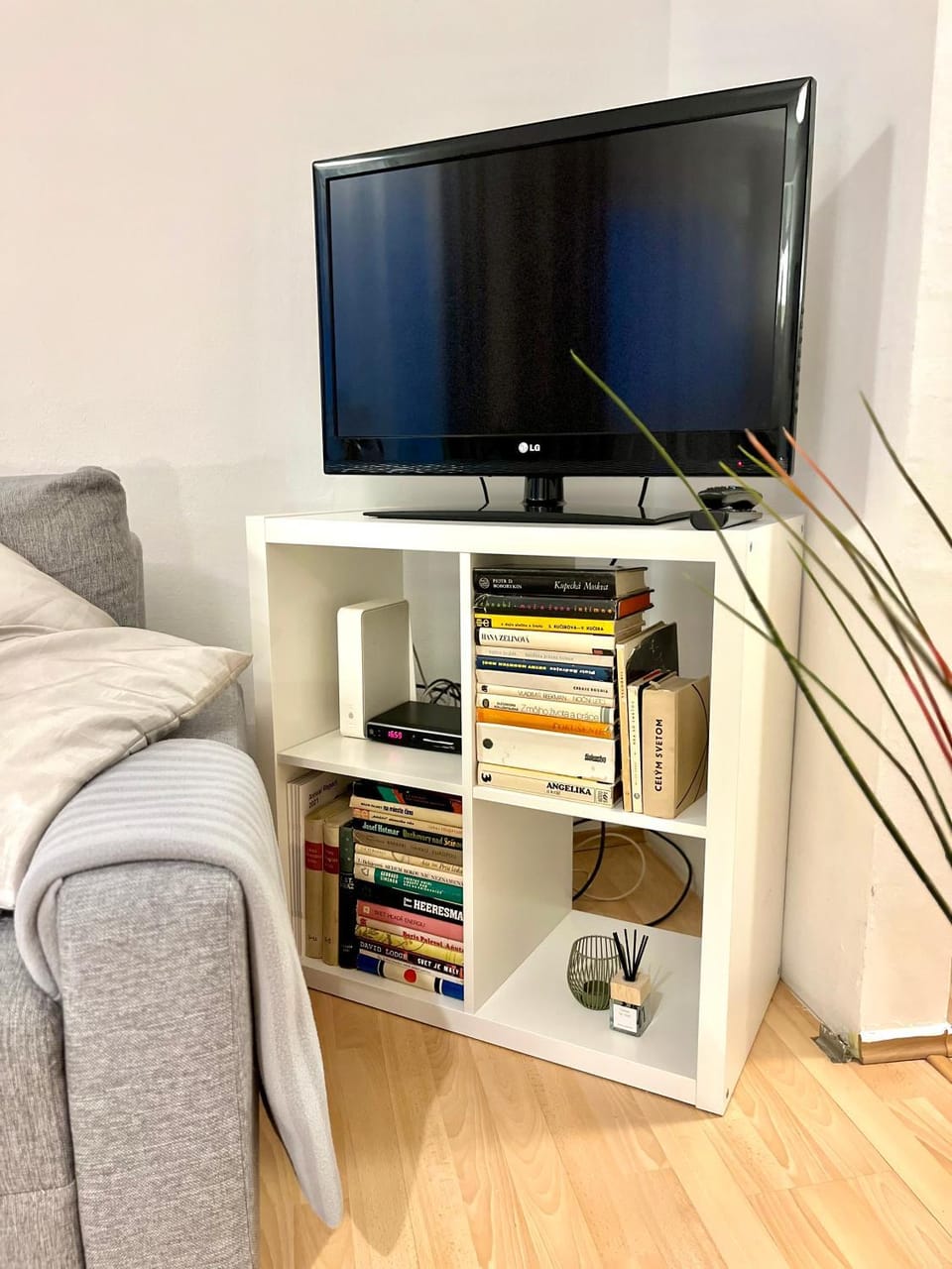 TV and multimedia