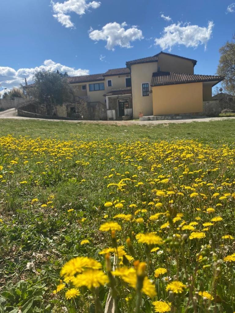 Villa Ignoto Apartment in Istria County