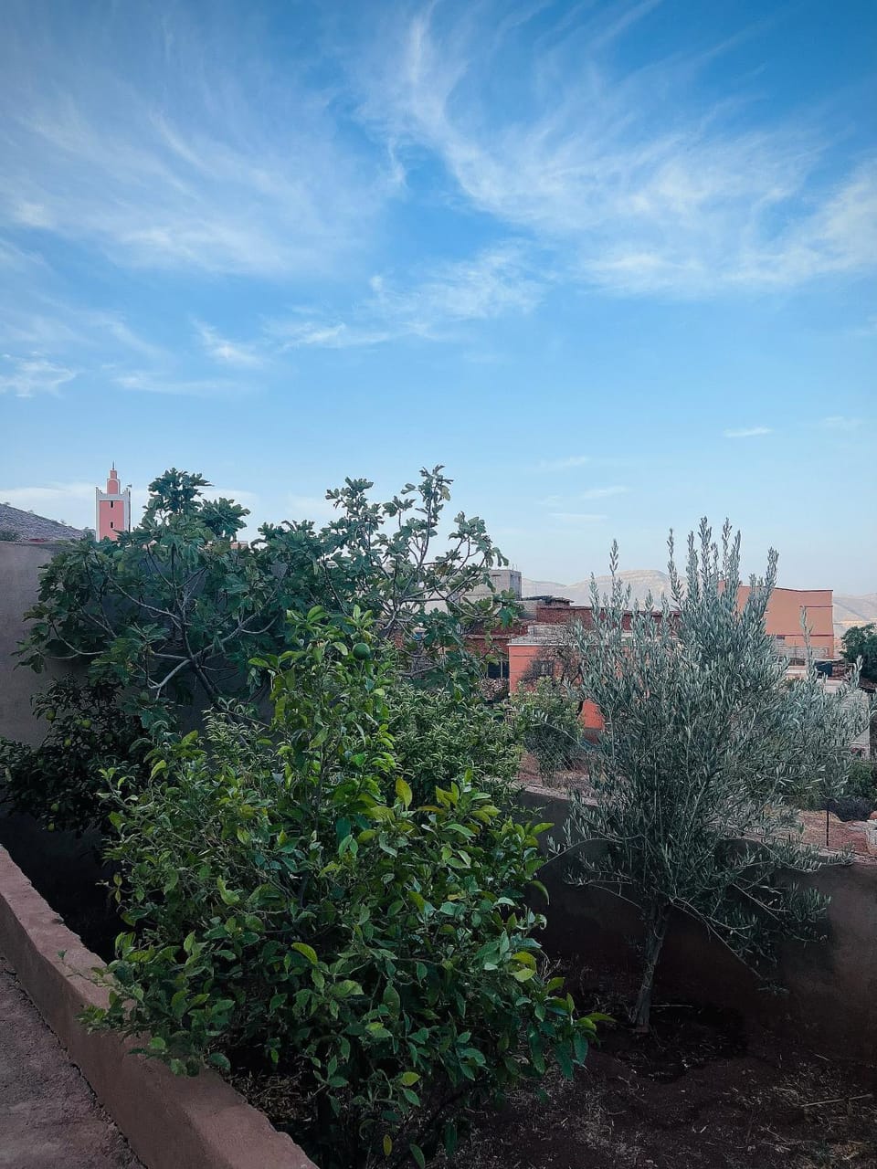 Spring, Day, Natural landscape, Garden, Garden view