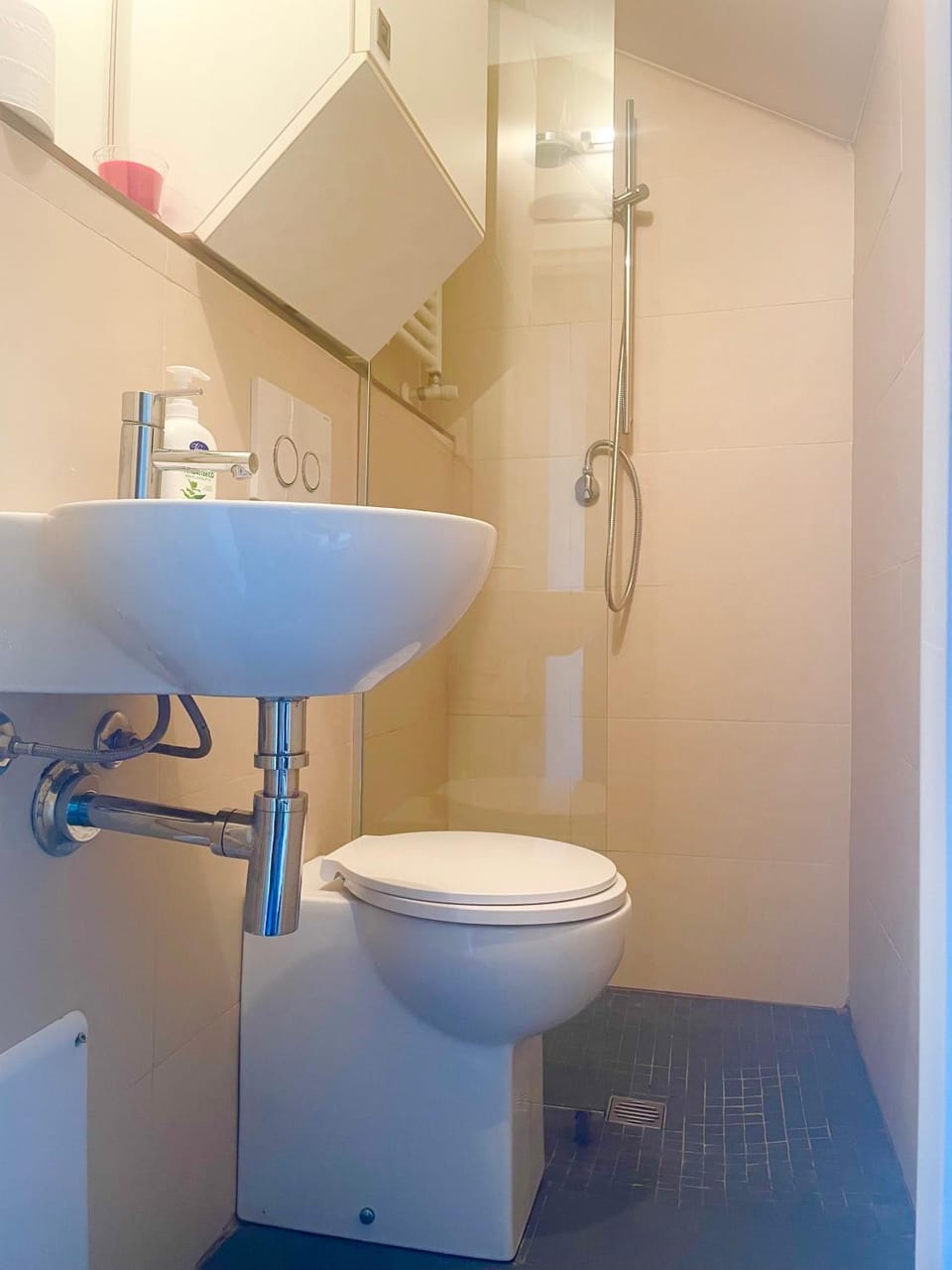 MANSARDA GALLIARI (E50) Apartment in Turin
