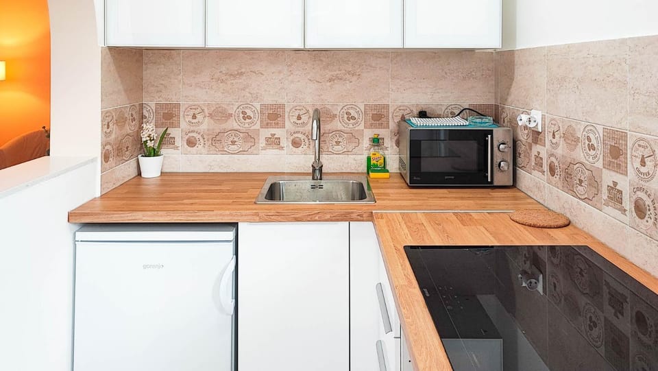 Kitchen or kitchenette, minibar, pet friendly