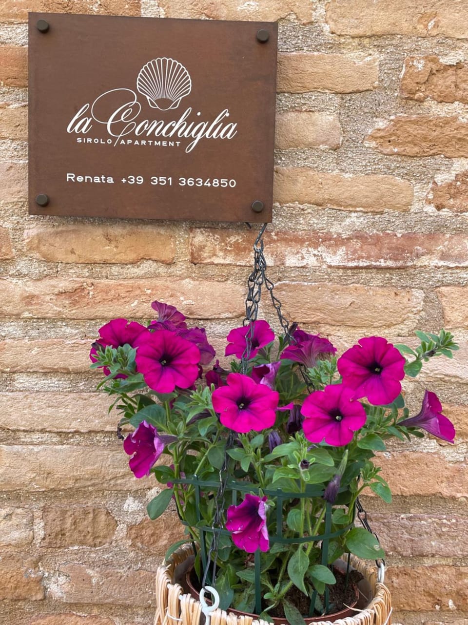 LA CONCHIGLIA - Sirolo Suite Apartment in Sirolo