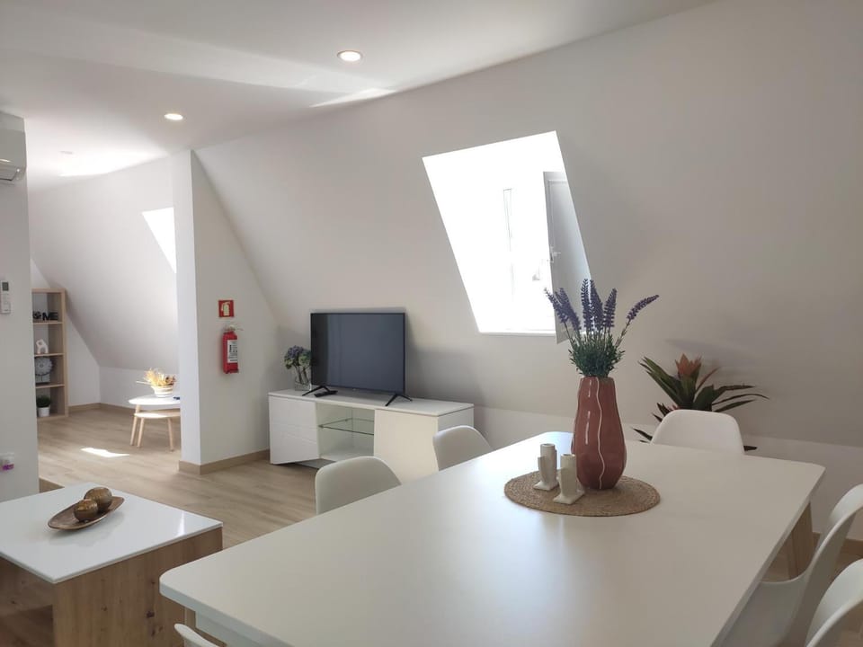Aveiro Ria House E Apartment in Aveiro
