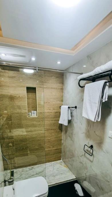 Shower, Toilet, Bathroom, towels