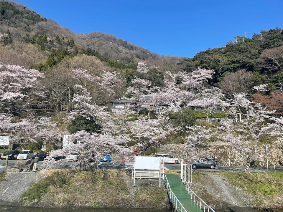 Spring, Day, Neighbourhood, Natural landscape