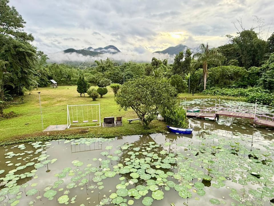 View (from property/room)