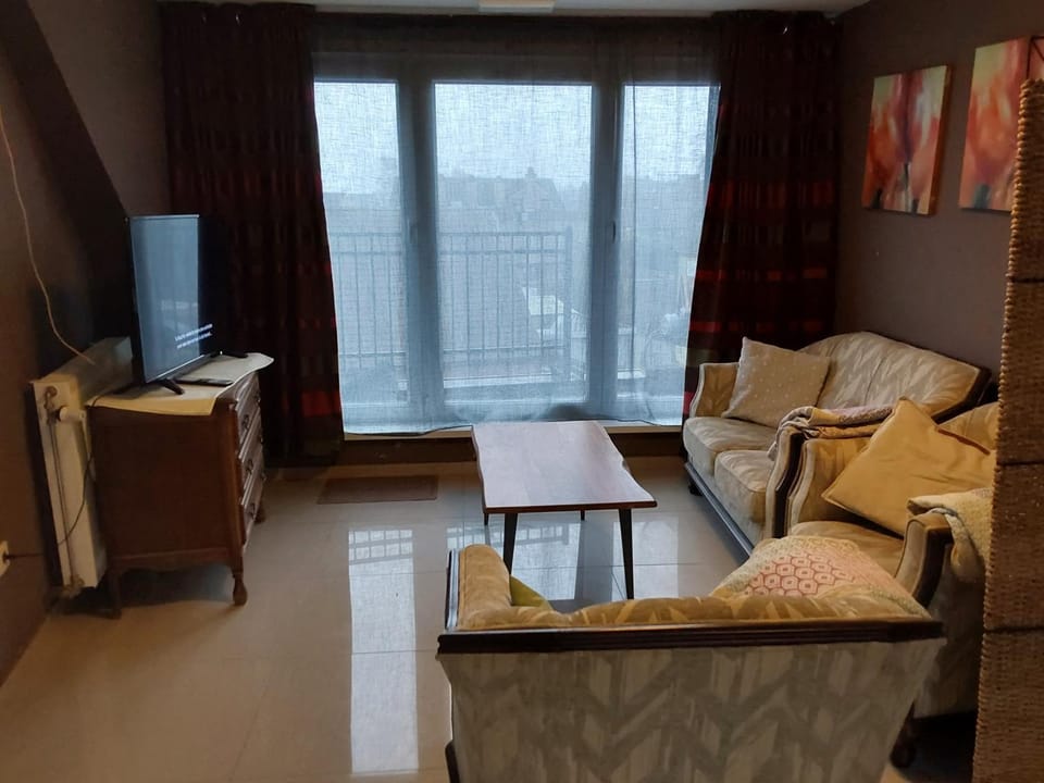 loft/appartement golden dragon Apartment in Mol