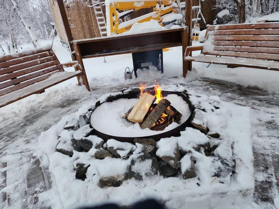 The Eagle's Nest Treehouse Cabin Cabin in Alaska