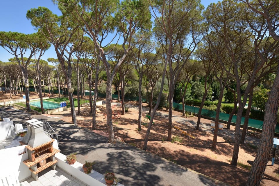 Day, Natural landscape, Garden, Garden, Garden view, Pool view, Swimming pool
