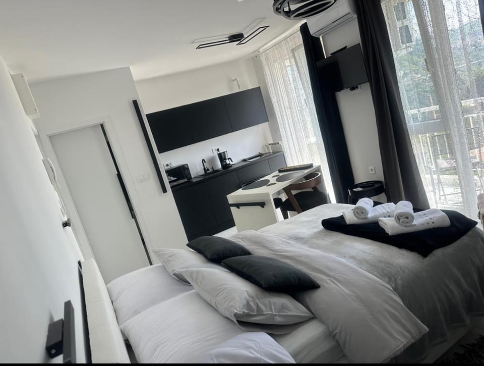 Bed, Living room, Photo of the whole room, Seating area, Bedroom, towels, wardrobe, air conditioner