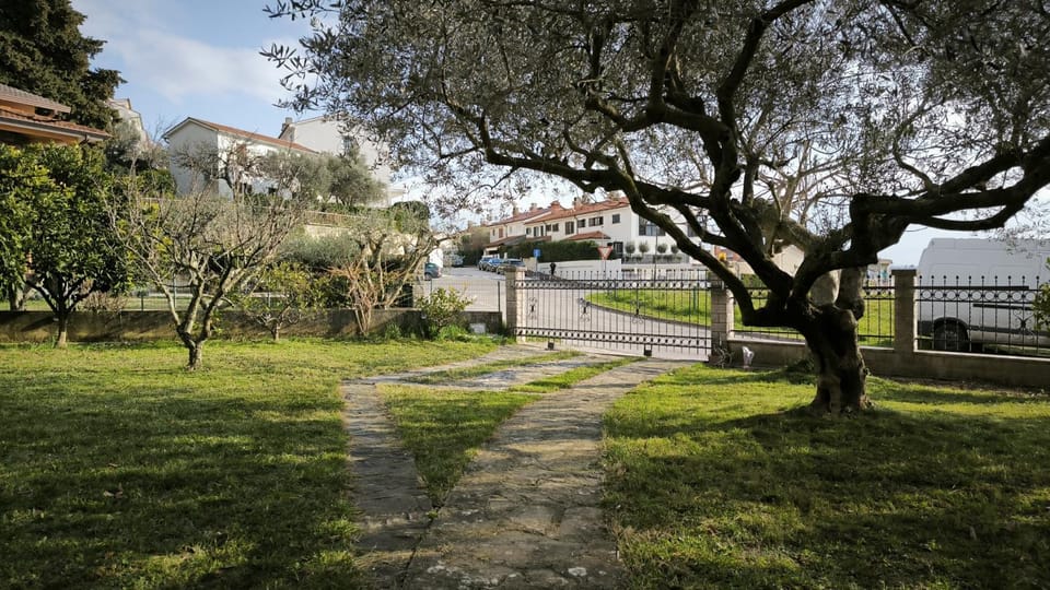 Garden view, Inner courtyard view, Parking
