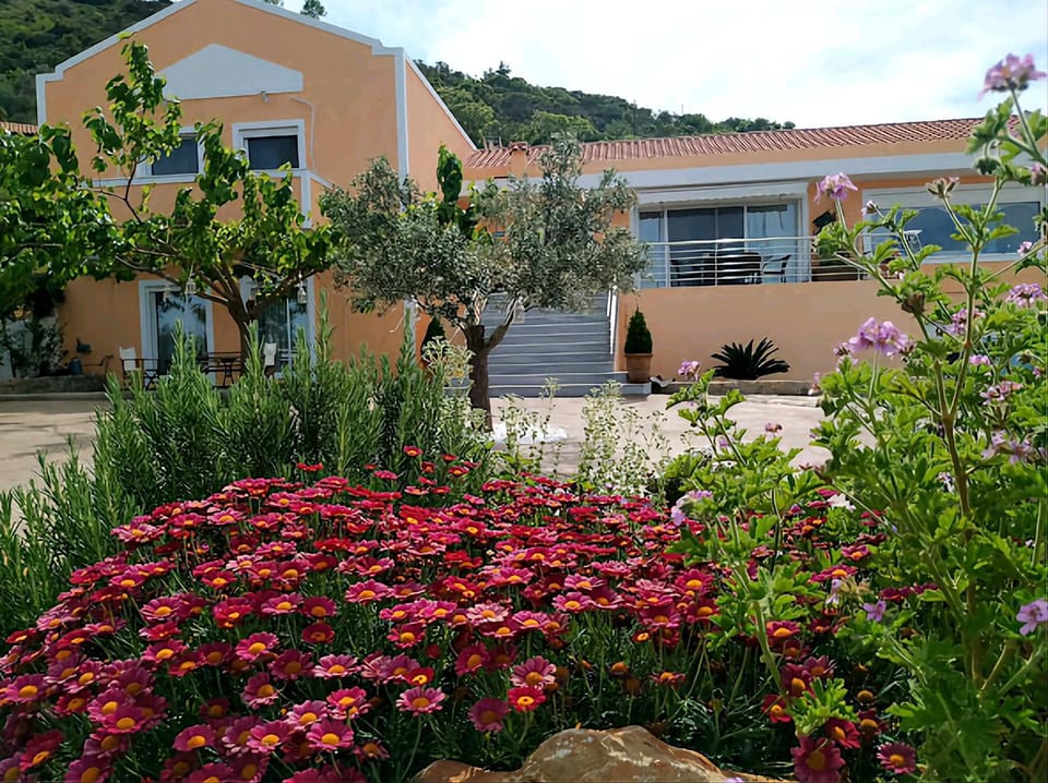Property building, Day, Garden, View (from property/room), Garden view