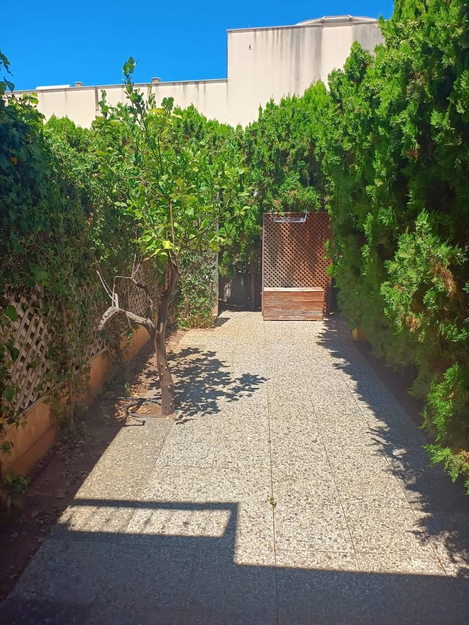 Garden view