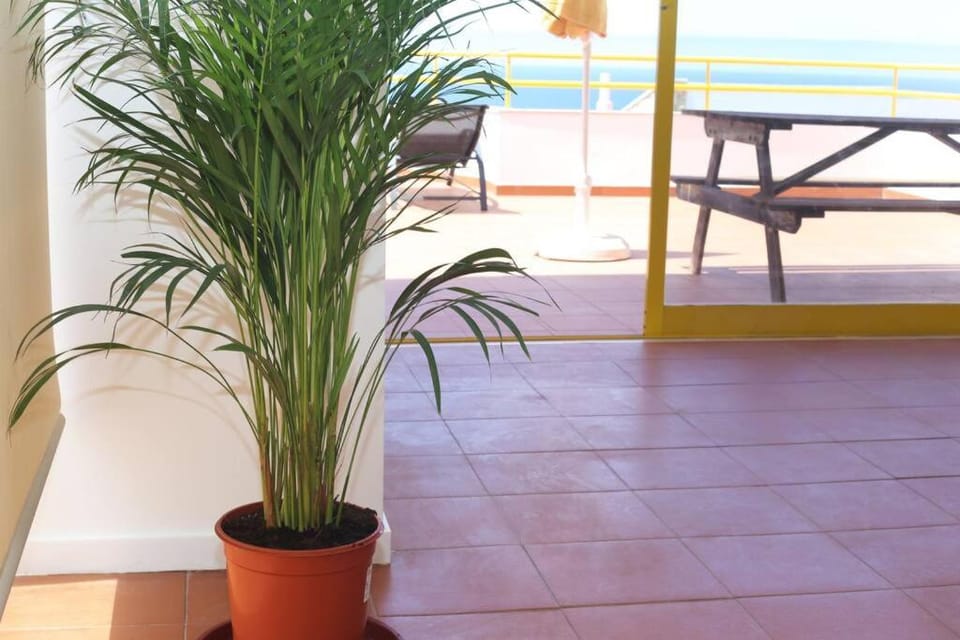 Brilhante - large one bedroom Condo with Splendid Seaview Apartment in Ericeira